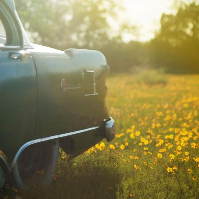 Car in the garden