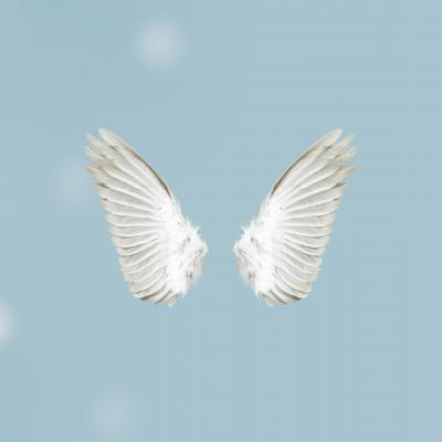 angel wings