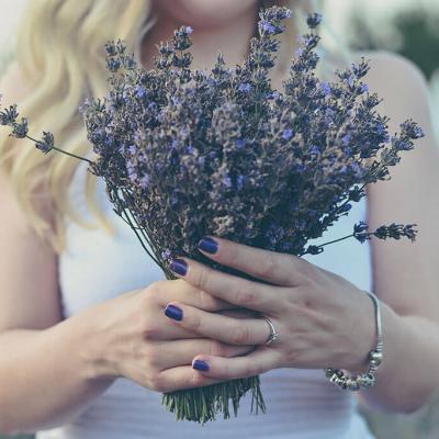 Lavanda