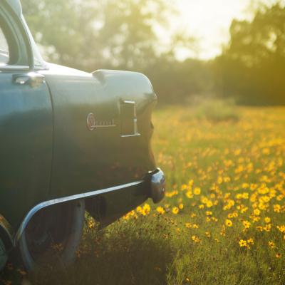 Car in the garden